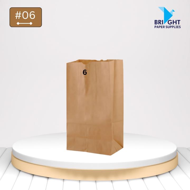 Kraft Paper Bag No 6 (500 pcs)